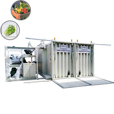 With US local after sell service button mushroom pre-cooling chamber celery/cabbage leafy vegetables vacuum cooler