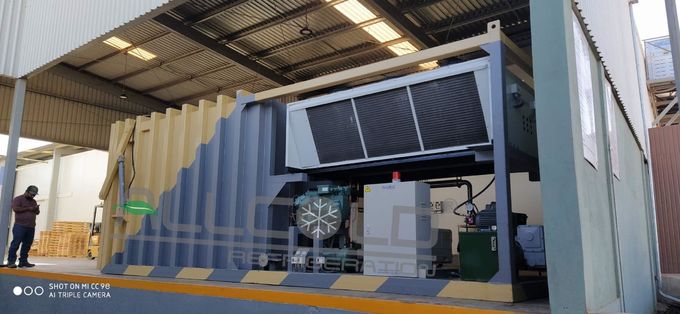 อัตโนมัติเต็มรูปแบบ R404A 72KW 3P 4 พาเลทผักคูลเลอร์ 0